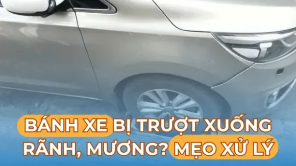 Tin tức