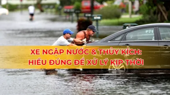 Tin tức