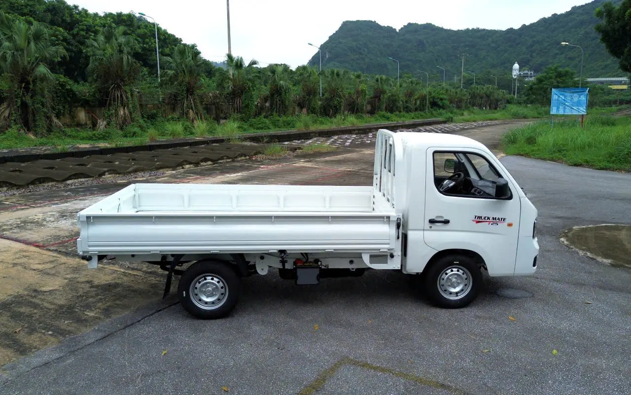 foton t25