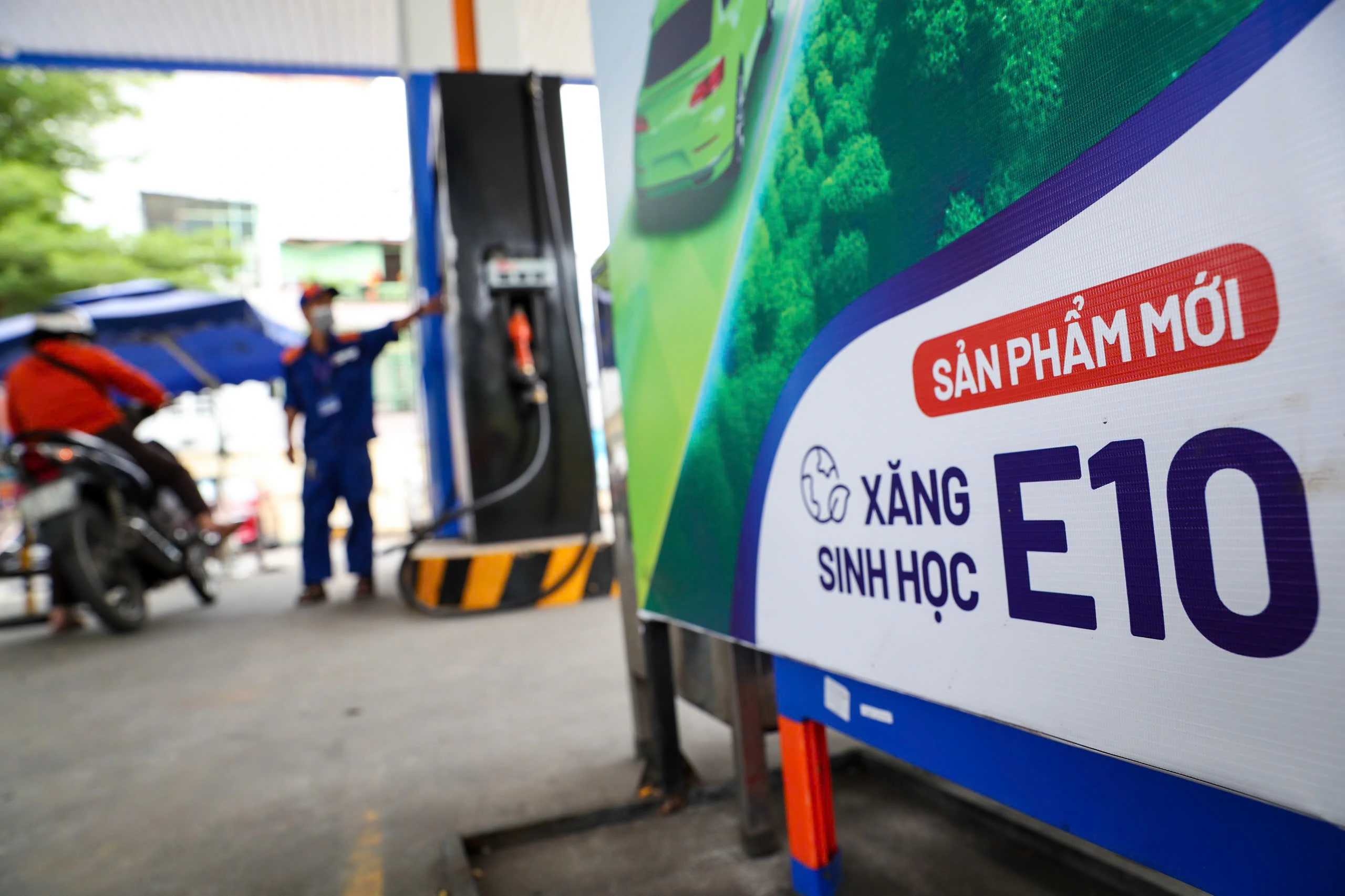 xăng sinh học e10