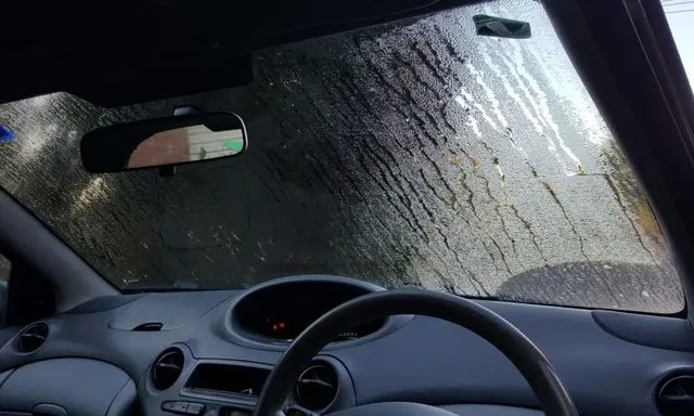 m&ugrave;a nồm miền bắc