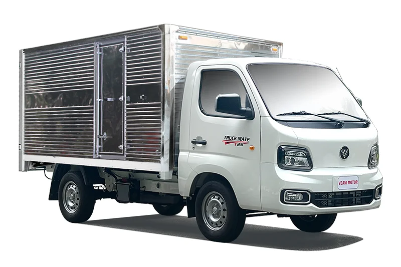 Foton t25
